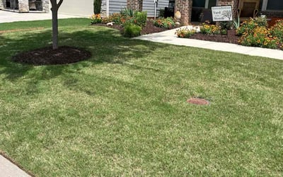 Photo of Jada W.'s yard after getting lawn care in Concord, NC