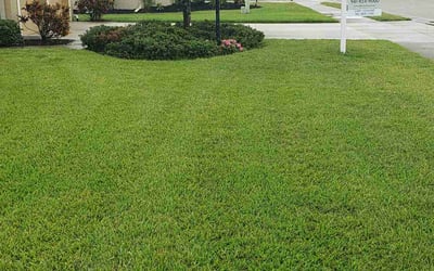 Photo of Jacob C.'s yard after getting lawn care in Sarasota, FL