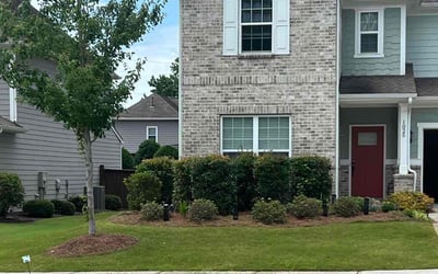 Photo of Alex H.'s yard after getting lawn care in Roswell, GA