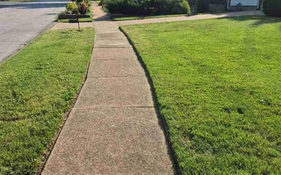 Photo of Ben A.'s yard after getting lawn care in Groton, CT