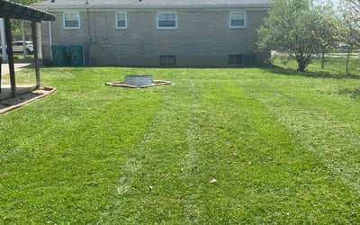 Photo of Gino V.'s yard after getting lawn care in Paris, KY
