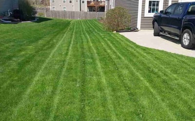 Photo of Susie F.'s yard after getting lawn care in Waukesha, WI