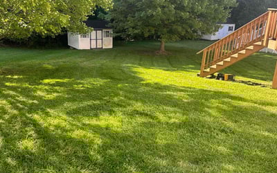 Photo of Nelo A.'s yard after getting lawn care in Upper Marlboro, MD