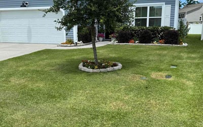 Photo of Terre J.'s yard after getting lawn care in Bluffton, SC
