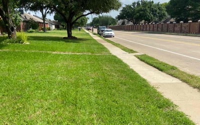 Photo of Edward J.'s yard after getting lawn care in Coppell, TX