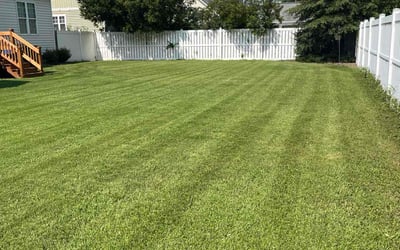 Photo of Kassandra D.'s yard after getting lawn care in Clyde, NC