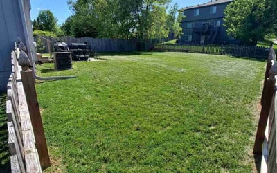 Photo of Shelia W.'s yard after getting lawn care in Omaha, NE