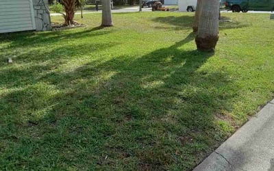 Photo of Kelli W.'s yard after getting lawn care in Gilbert, AZ
