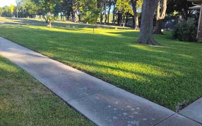 Photo of Candice K.'s yard after getting lawn care in Los Angeles, CA