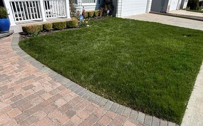 Photo of Debi J.'s yard after getting lawn care in Cheney, WA