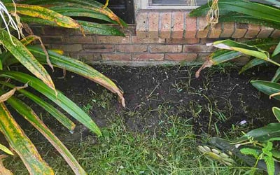 Photo of Debra K.'s yard after getting lawn care in Bellingham, WA