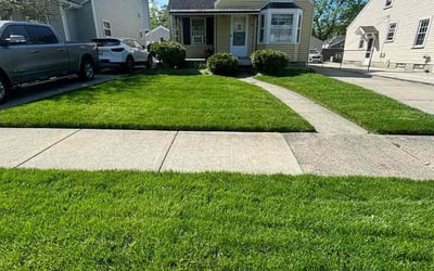 Photo of Prince O.'s yard after getting lawn care in Berkley, MI