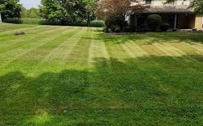 Photo of Mark K.'s yard after getting lawn care in Hubbard, OH