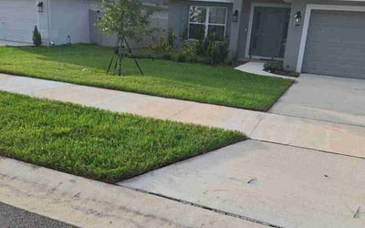 Photo of James B.'s yard after getting lawn care in Wallingford, CT