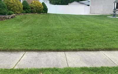 Photo of Joel Z.'s yard after getting lawn care in Deptford, NJ