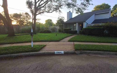 Photo of Ron R.'s yard after getting lawn care in Visalia, CA