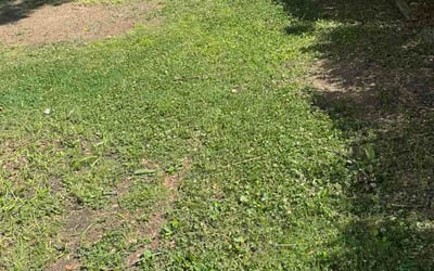 Photo of Kara D.'s yard after getting lawn care in Leominster, MA