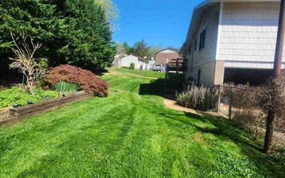 Photo of Linda L.'s yard after getting lawn care in Knoxville, TN