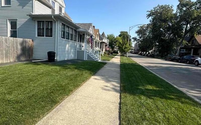 Photo of Suzanne P.'s yard after getting lawn care in Forest Park, IL