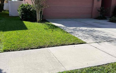 Photo of Sarah C.'s yard after getting lawn care in Belmar, NJ