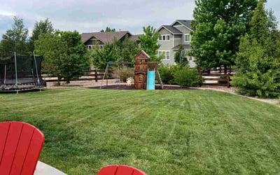 Photo of Judith C.'s yard after getting lawn care in Arlington Heights, IL