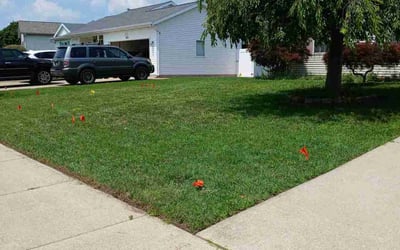 Photo of Jennifer S.'s yard after getting lawn care in Wyoming, MI
