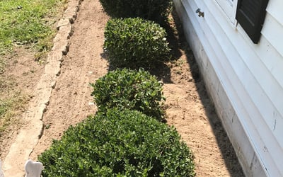 Photo of Charline B.'s yard after getting lawn care in Great Falls, VA