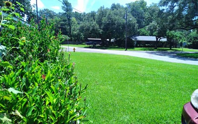 Photo of Kenneth G.'s yard after getting lawn care in Baton Rouge, LA