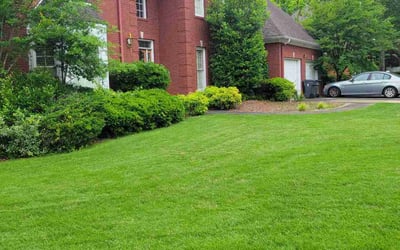 Photo of Vedrick D.'s yard after getting lawn care in Oneonta, AL