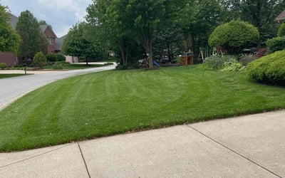 Photo of Mark S.'s yard after getting lawn care in Palos Heights, IL
