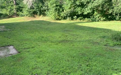 Photo of John C.'s yard after getting lawn care in Wareham, MA