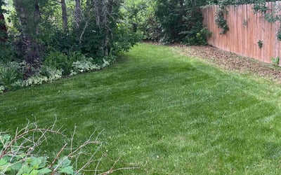 Photo of Jaclyn G.'s yard after getting lawn care in Fairfield, CT