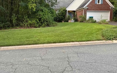 Photo of John F.'s yard after getting lawn care in Matthews, NC