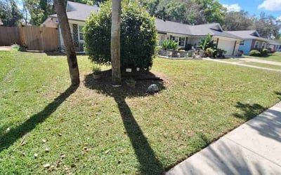 Photo of Adam H.'s yard after getting lawn care in Altamonte Springs, FL