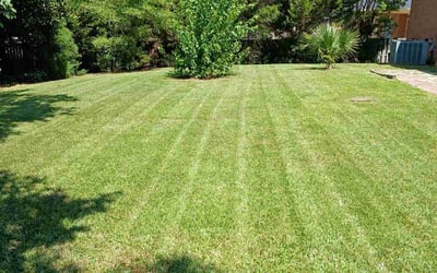 Photo of shanequa s.'s yard after getting lawn care in Augusta, GA