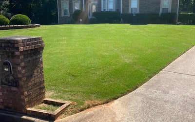 Photo of Tameeshah C.'s yard after getting lawn care in Ellenwood, GA
