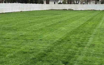 Photo of Jerry R.'s yard after getting lawn care in Stow, OH