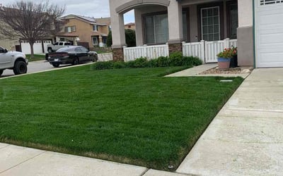 Photo of Carl W.'s yard after getting lawn care in Fontana, CA