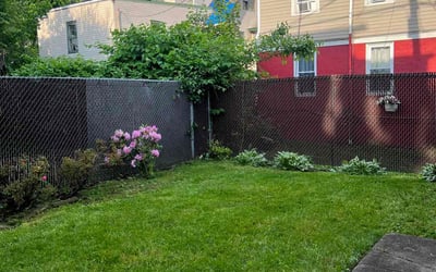 Photo of Shadia B.'s yard after getting lawn care in Newark, NJ