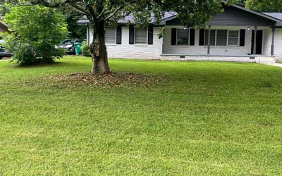 Photo of Lindsay T.'s yard after getting lawn care in Hickory, NC