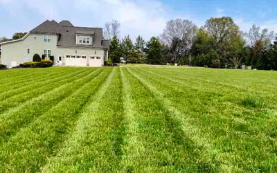 Photo of Sandra D.'s yard after getting lawn care in Pittsboro, NC
