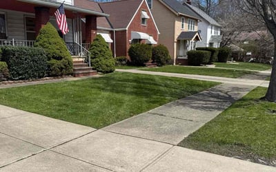 Photo of Tifanie D.'s yard after getting lawn care in Garfield Heights, OH