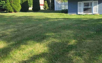 Photo of Renetta A.'s yard after getting lawn care in Natrona Heights, PA