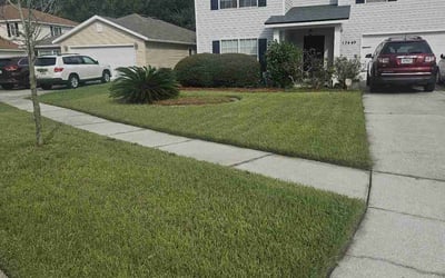 Photo of Renee W.'s yard after getting lawn care in Stockton, CA