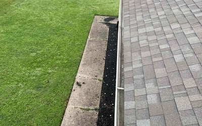 Photo of Eileen H.'s yard after getting lawn care in Summit, NJ