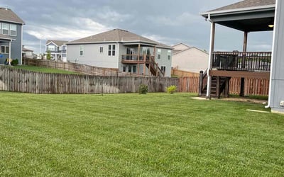 Photo of Saba N.'s yard after getting lawn care in Loganville, GA