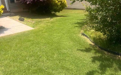 Photo of Roberto D.'s yard after getting lawn care in Cumberland, RI