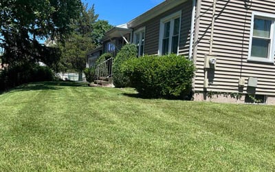 Photo of Larry S.'s yard after getting lawn care in New Haven, CT