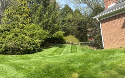 Photo of Jessica S.'s yard after getting lawn care in Gibsonia, PA