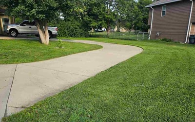 Photo of Donald W.'s yard after getting tree care in Purcellville, VA